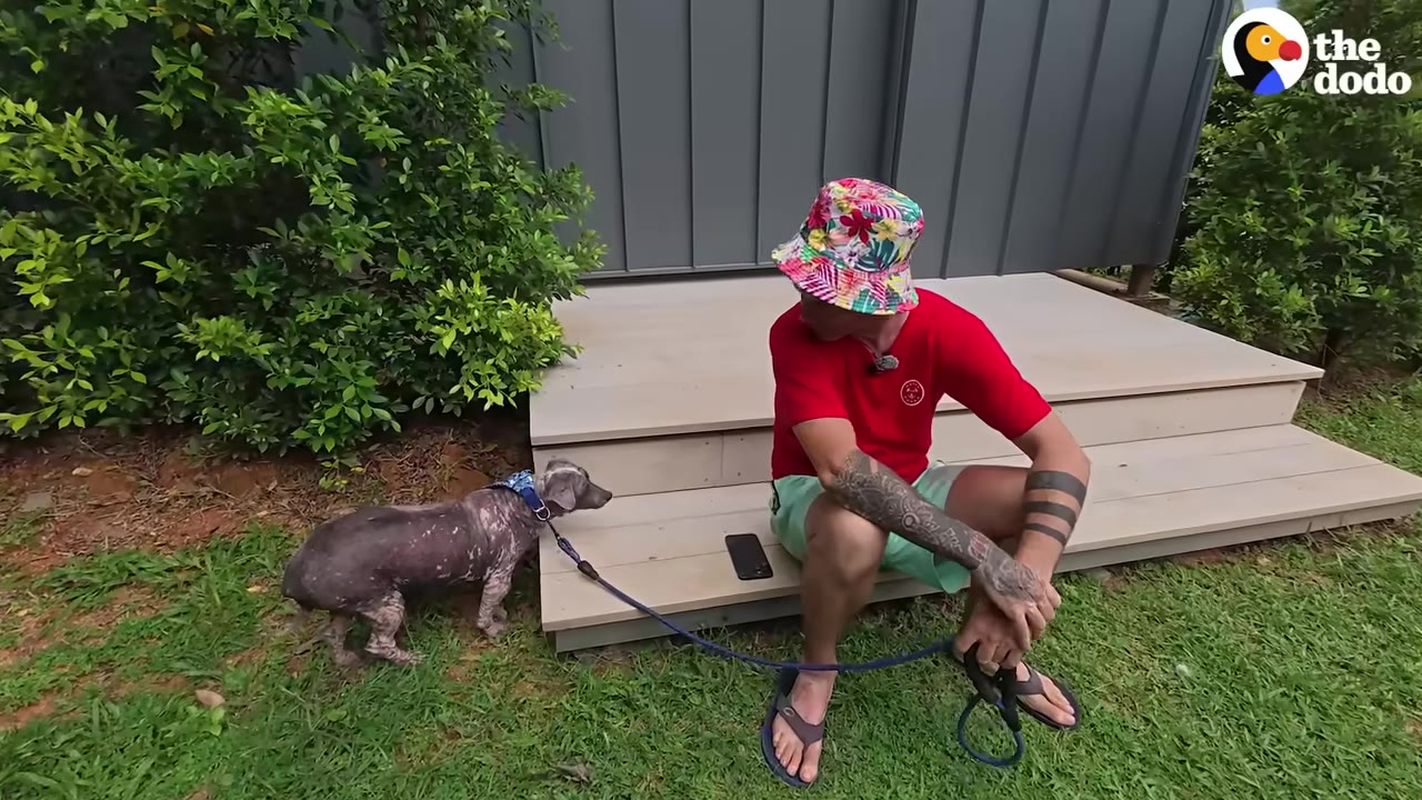 A man wearing a red shirt, green shorts, and a colorful floral bucket hat sits on wooden steps next to a small, hairless dog on a leash.