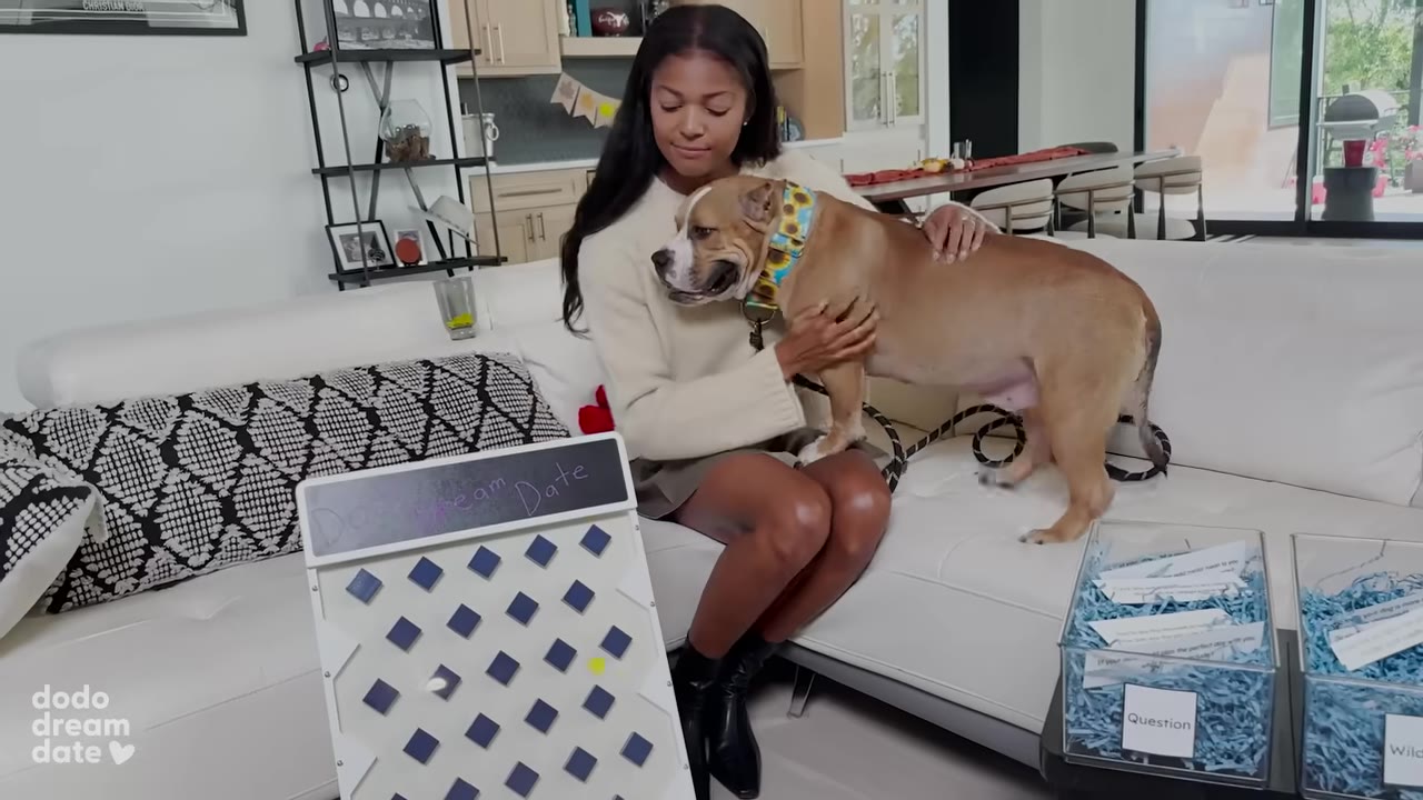 A woman sits on a white couch petting a brown and white dog, with a game board in the foreground showing a white disc sliding down.