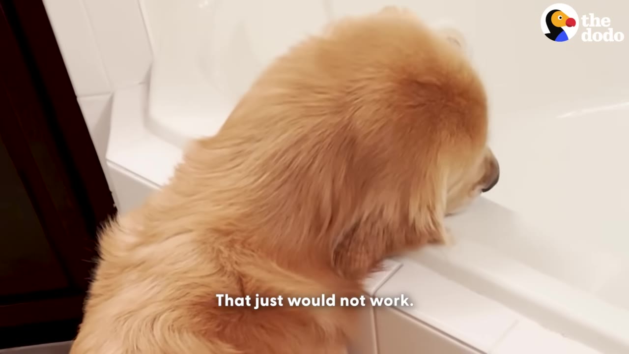 A golden retriever rests its head on the edge of a white bathtub, with the subtitle 'That just would not work' visible at the bottom.