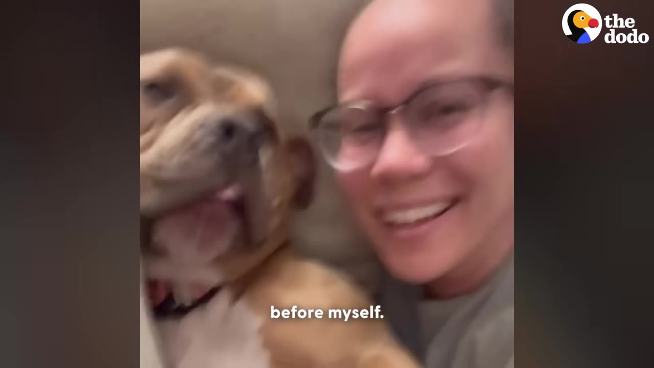 A close-up selfie of a smiling woman wearing glasses next to her brown and white dog.