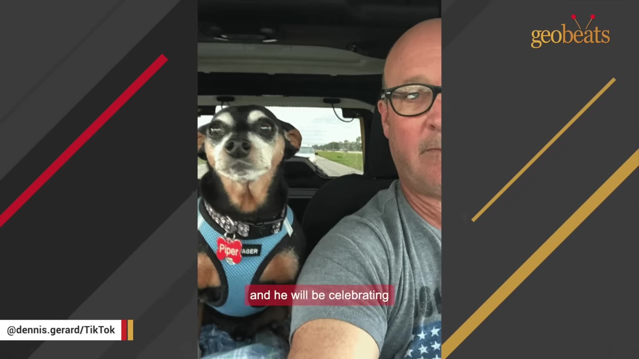 An older, bald Dennis wearing glasses sits in a car next to Piper, an older dog with a grey muzzle wearing a blue harness.