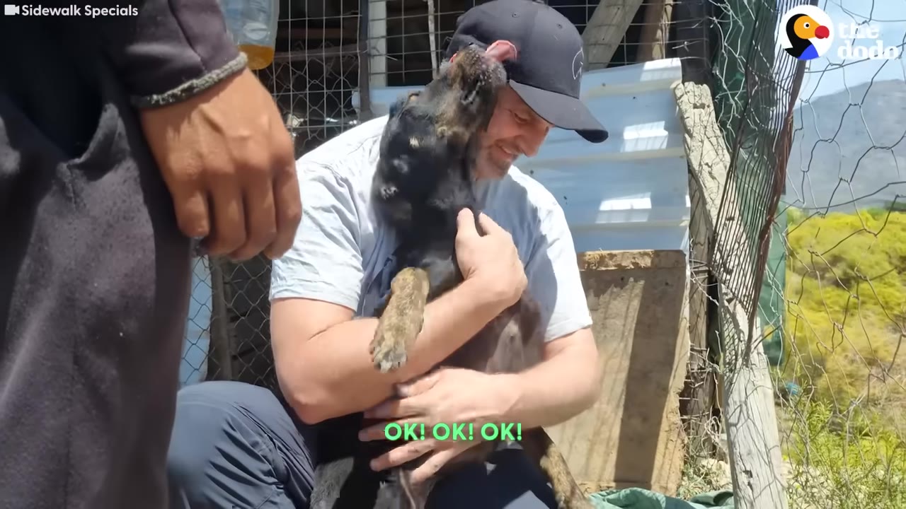 A black and tan dog enthusiastically licks the face of a smiling man wearing a black baseball cap as he cradles the dog in his arms.