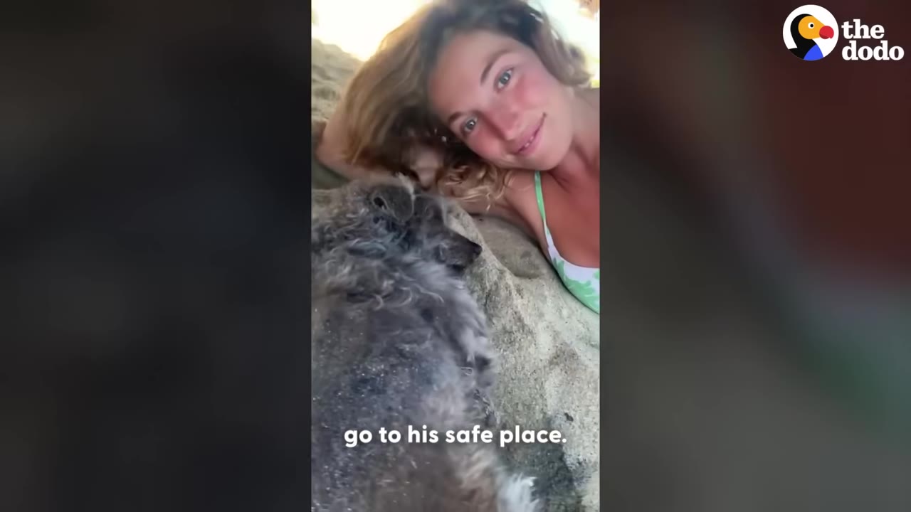 A woman lying on the sandy ground next to a scruffy grey dog, meeting him in his safe space.