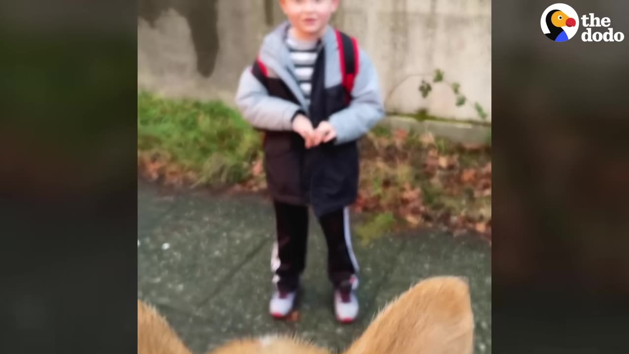 A young boy stands outside with his eyes closed, waiting for a surprise, while the ears of a puppy are visible in the foreground.