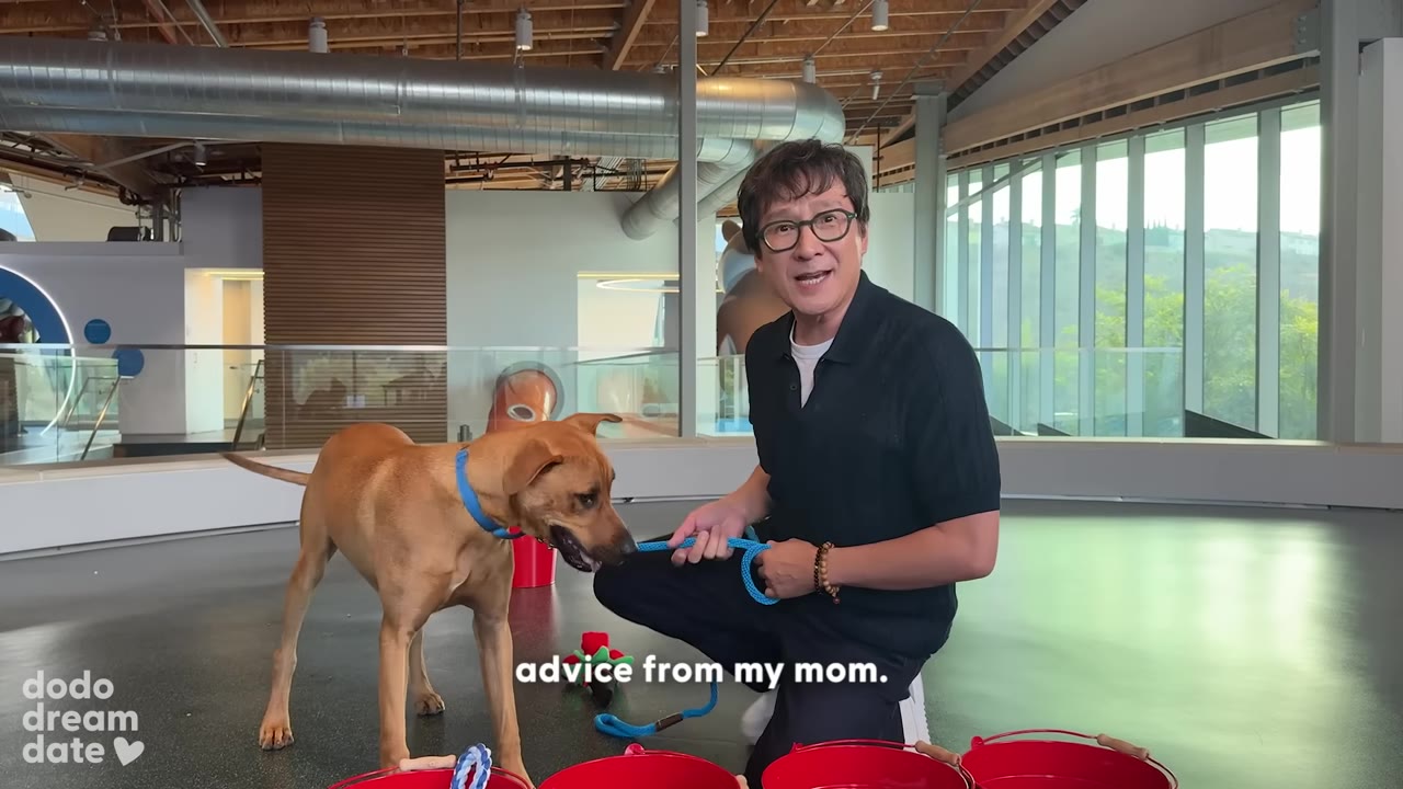 A man in a black polo shirt and glasses kneels next to a brown dog on a blue leash, smiling as he speaks.