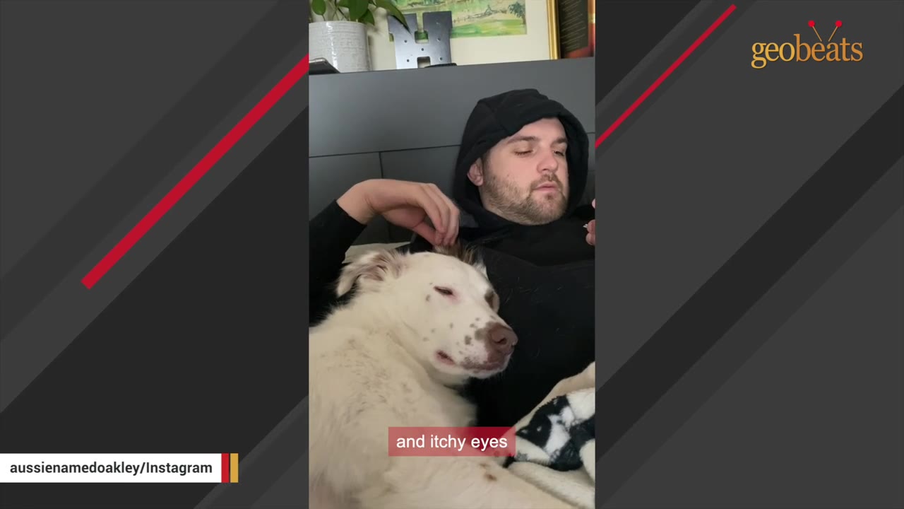 A man wearing a black hoodie lies in bed next to a white dog with brown spots, with a subtitle that reads 'and itchy eyes'.