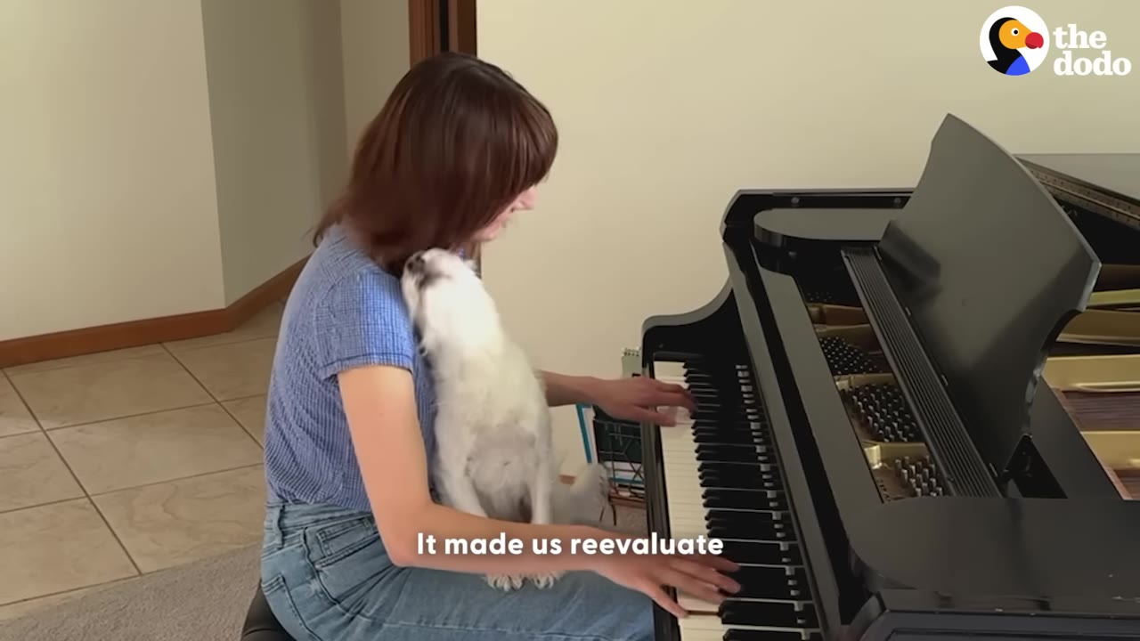 A woman with brown hair sits at a black grand piano, playing the keys while a small white dog sits on her lap, leaning its head against her chest.