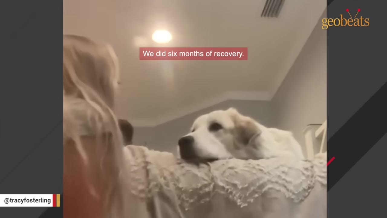 A white dog lies resting on a bed next to a woman with blonde hair, with text on screen reading 'We did six months of recovery.'
