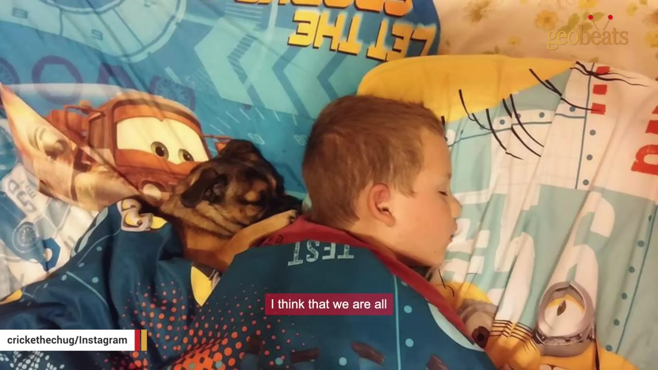 A small brown and black dog sleeps soundly in bed next to a young boy under a colorful blanket.