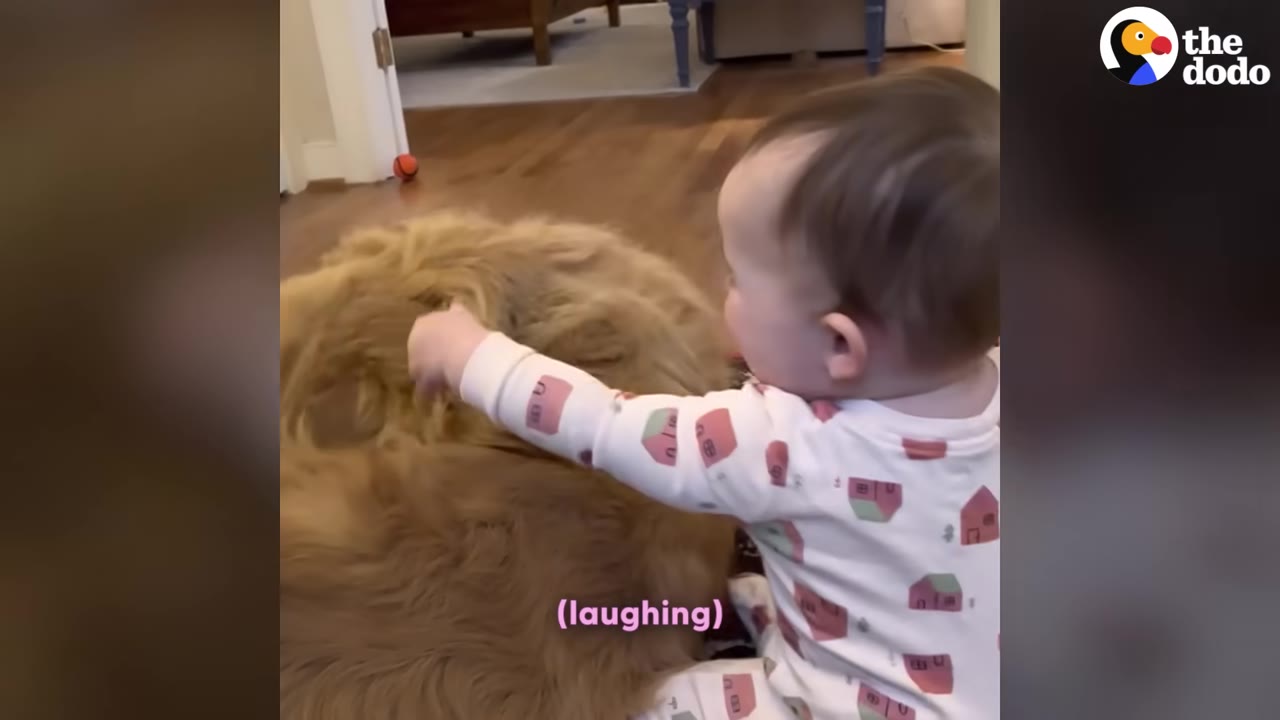A baby in patterned pajamas gently reaches out to pet a fluffy golden dog.