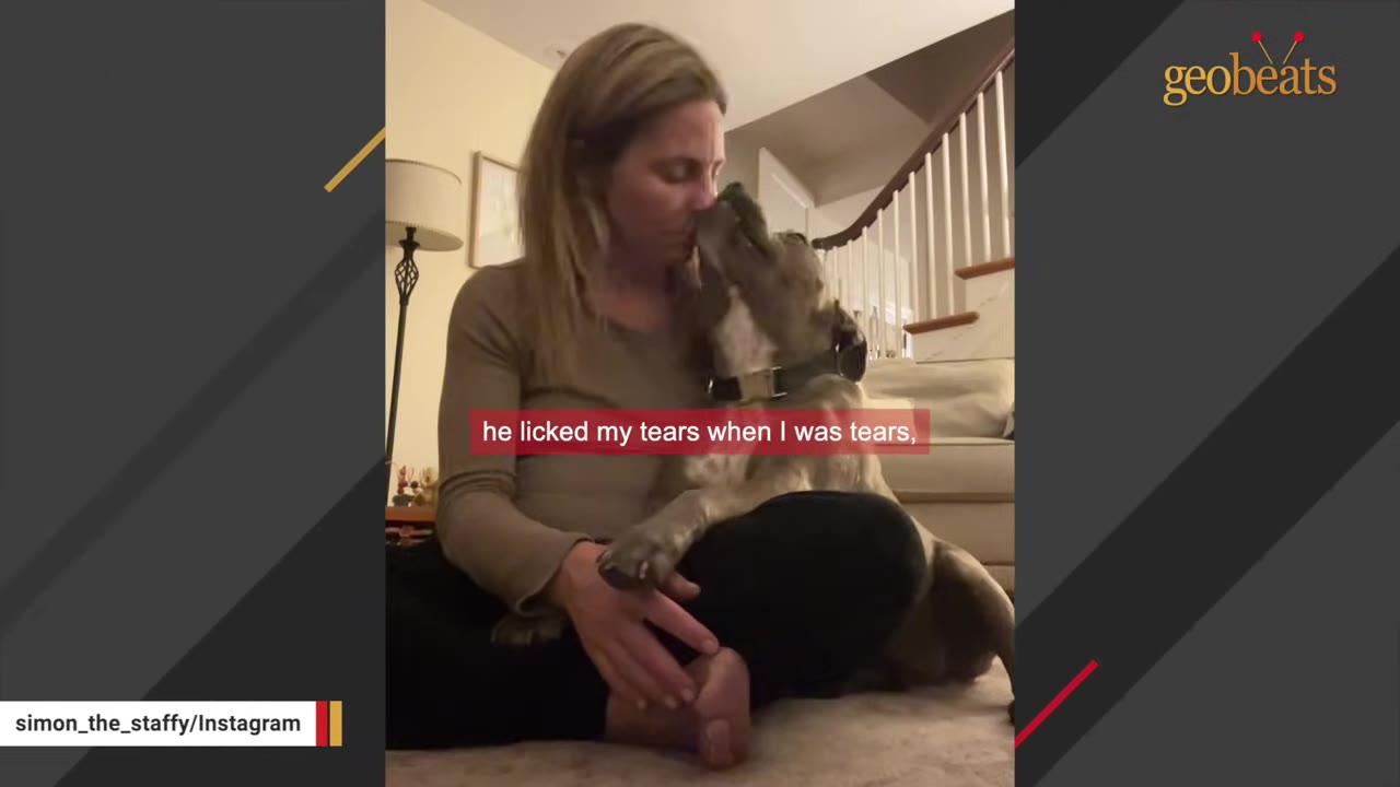 A woman sitting cross-legged on the floor as a grey dog licks her face gently.