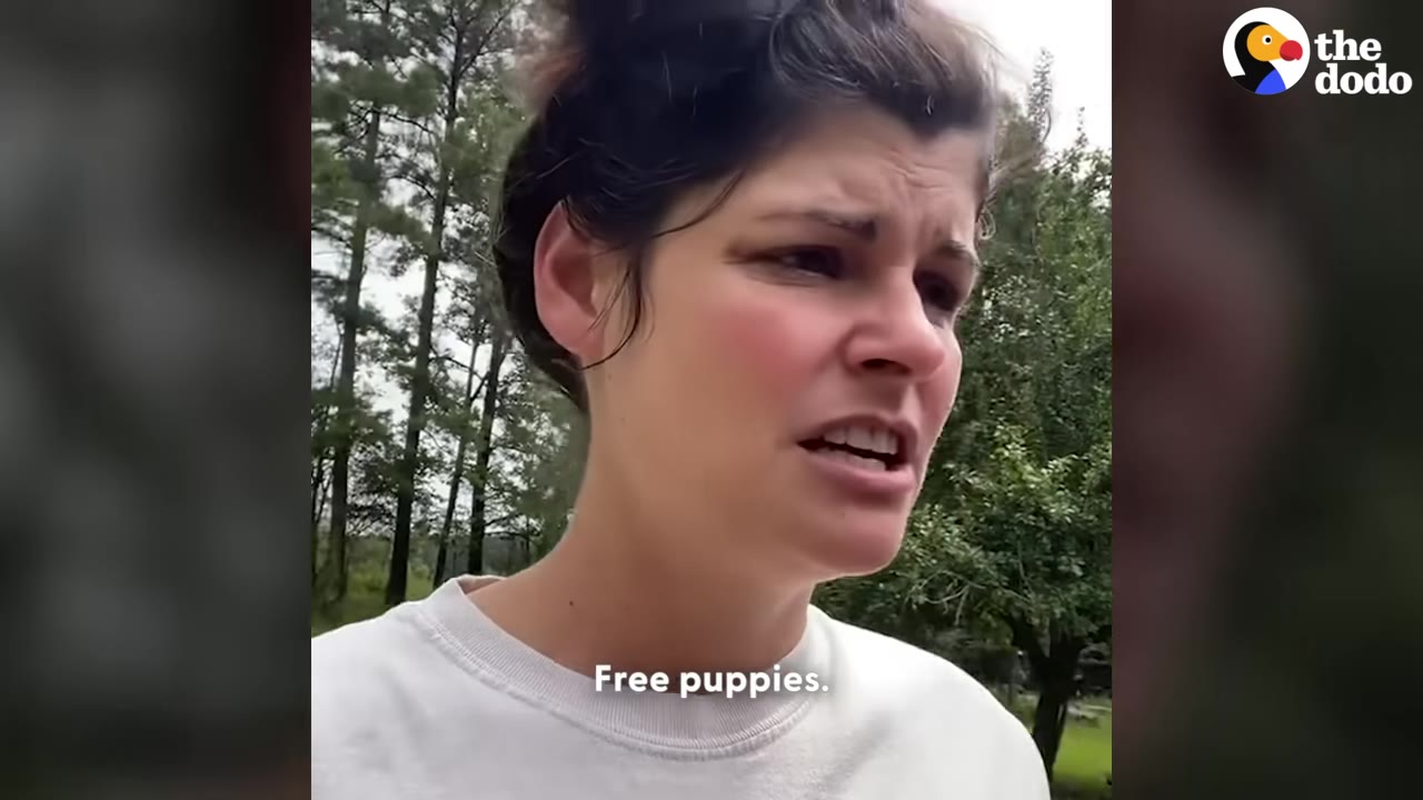 A close-up of a woman with a concerned expression outdoors, with the caption 'Free puppies.' on the screen.