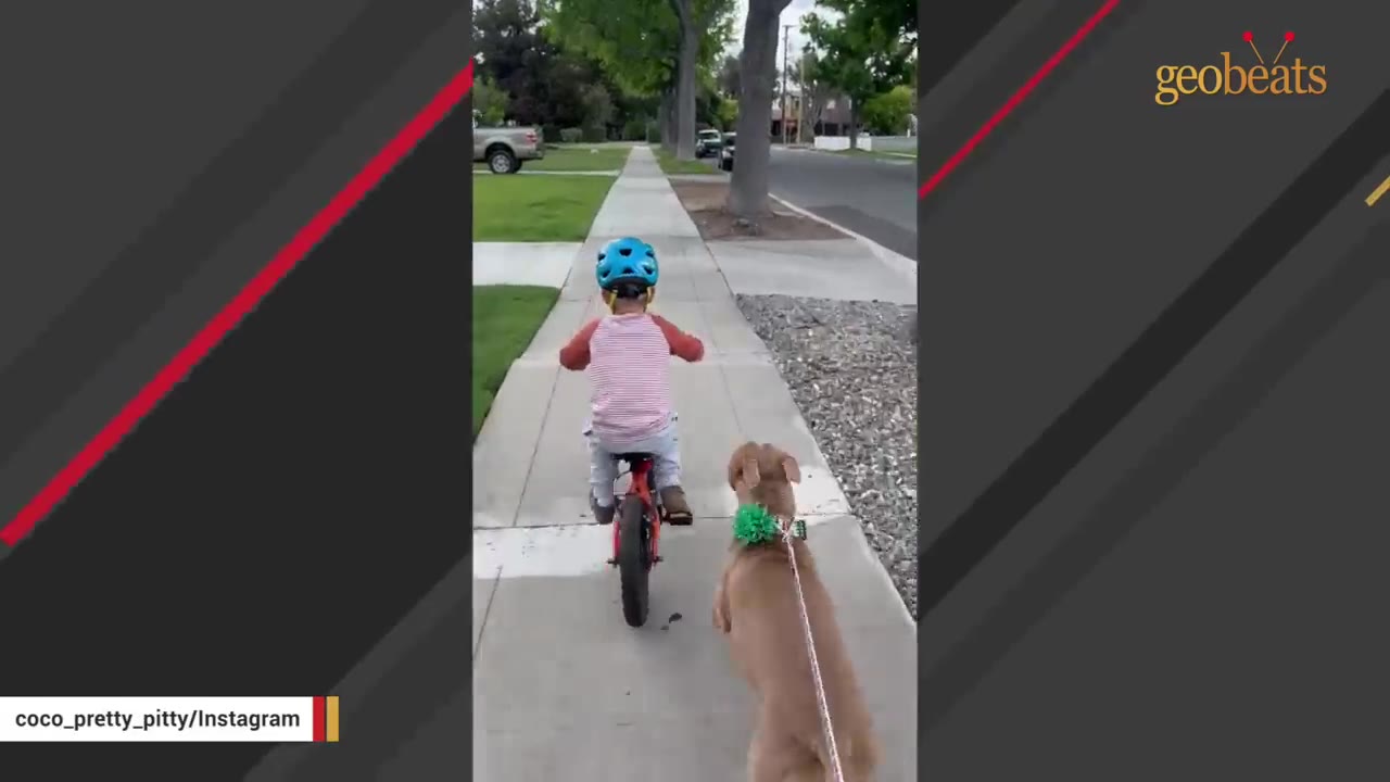 A young boy wearing a blue helmet rides a red bicycle on a sidewalk while a brown dog walks closely behind him.