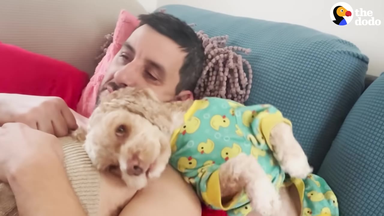 A man lies on a blue couch cuddling a small, light-colored dog wearing green pajamas with yellow ducks.