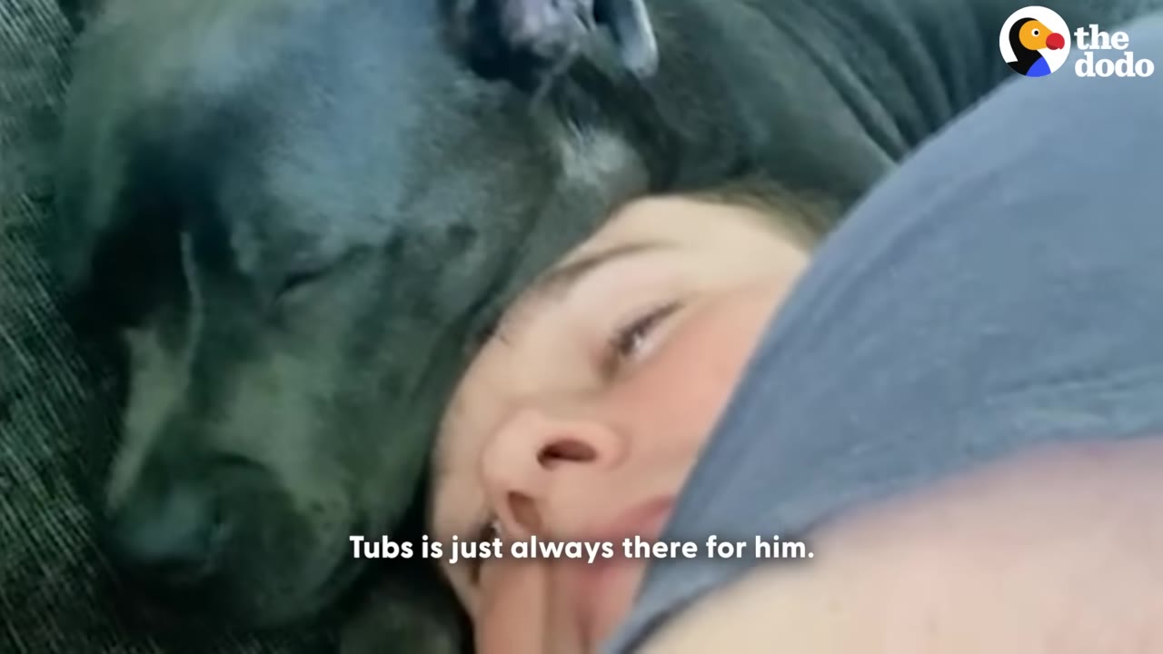 A close-up shot of a dark grey dog resting its head affectionately on a person's face as they lie down together.