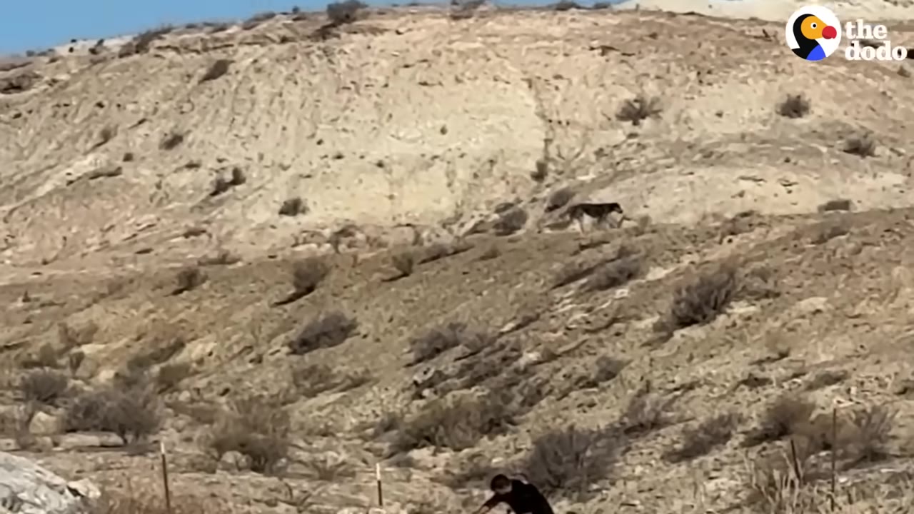 A dog stands on a dry, sandy hillside while a person crouches below in the foreground.