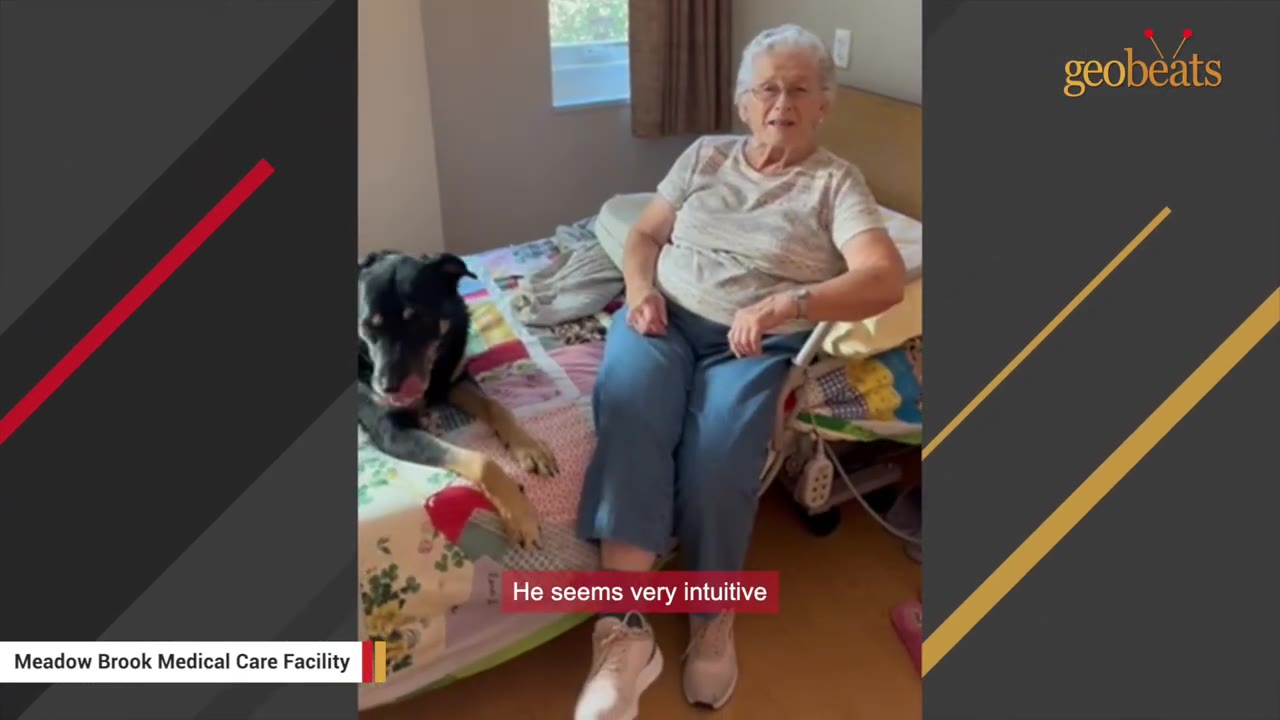 A black and tan dog sits on a colorful quilt on a bed next to an elderly woman sitting on the edge of the bed.