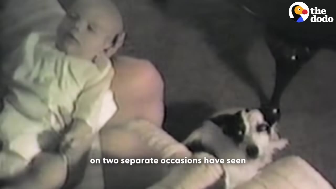 A vintage home video frame showing a baby in a yellow outfit lying next to a small black and white dog.