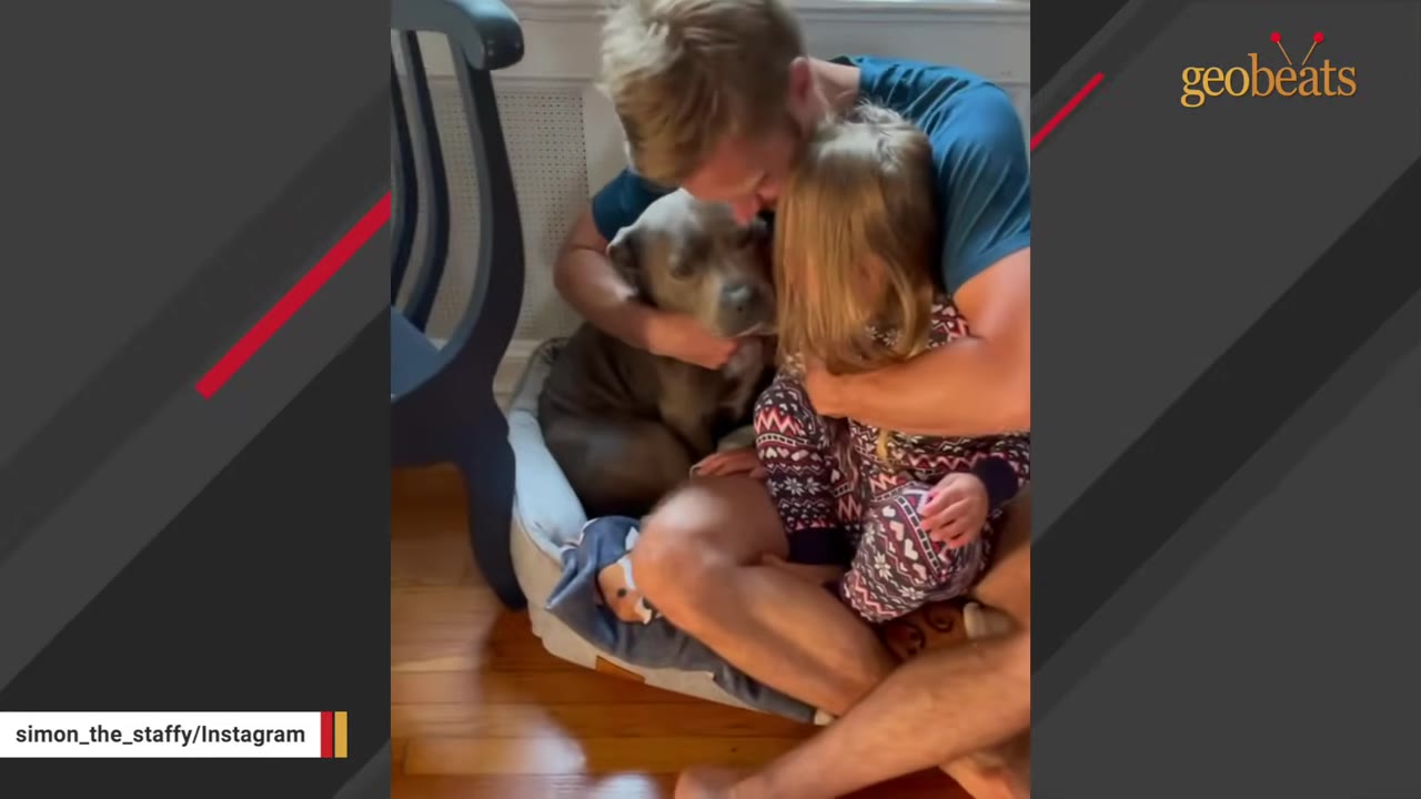 A man sits on the floor hugging a young girl in patterned pajamas and a grey pit bull dog.