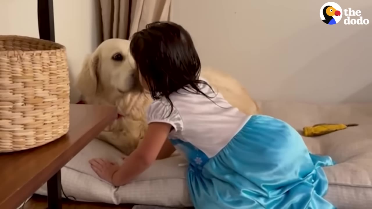 A young girl in a blue and white dress leans in close to a golden retriever lying on a dog bed.