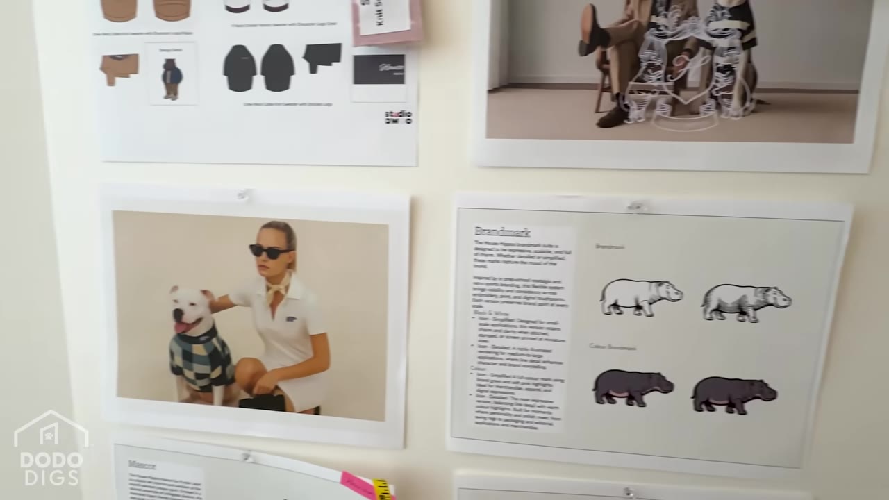 A mood board on a wall featuring a pinned photograph of a woman in a white polo shirt and sunglasses posing next to a white dog wearing a blue and green checkered sweater.