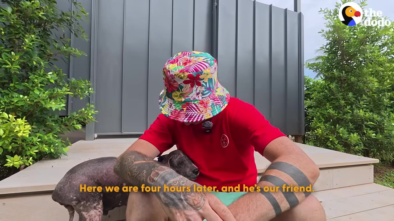 A man wearing a colorful floral bucket hat and red shirt sits on wooden steps, gently holding a small, hairless dog with dark, patchy skin.