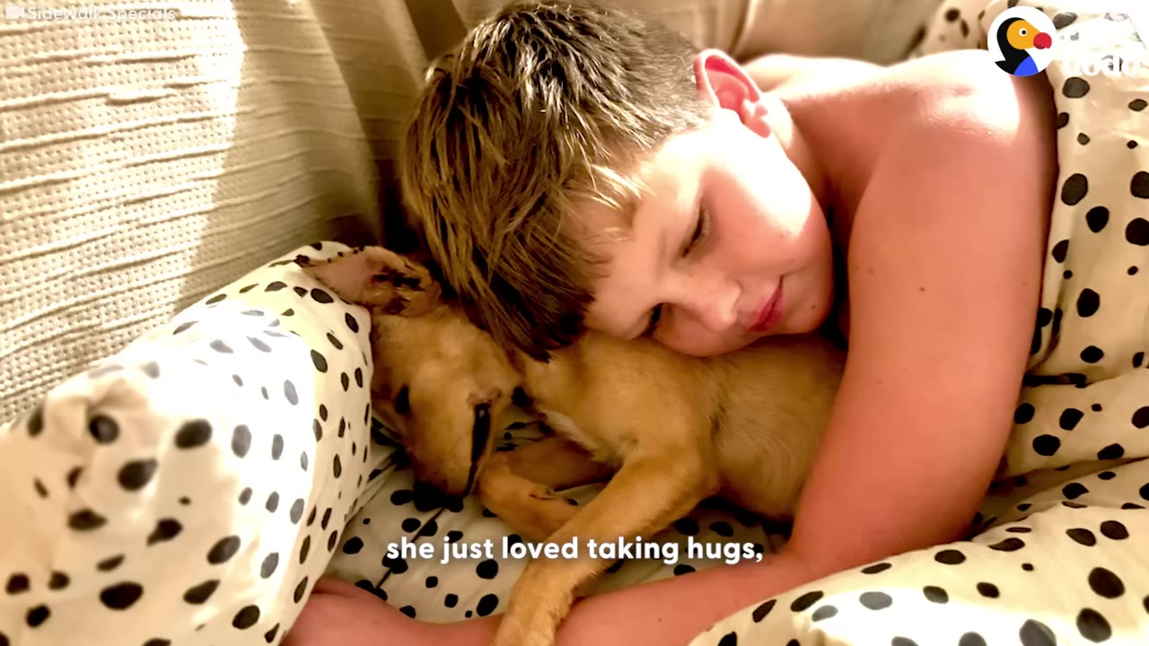 A young boy lying in bed, hugging a small brown puppy close to him.