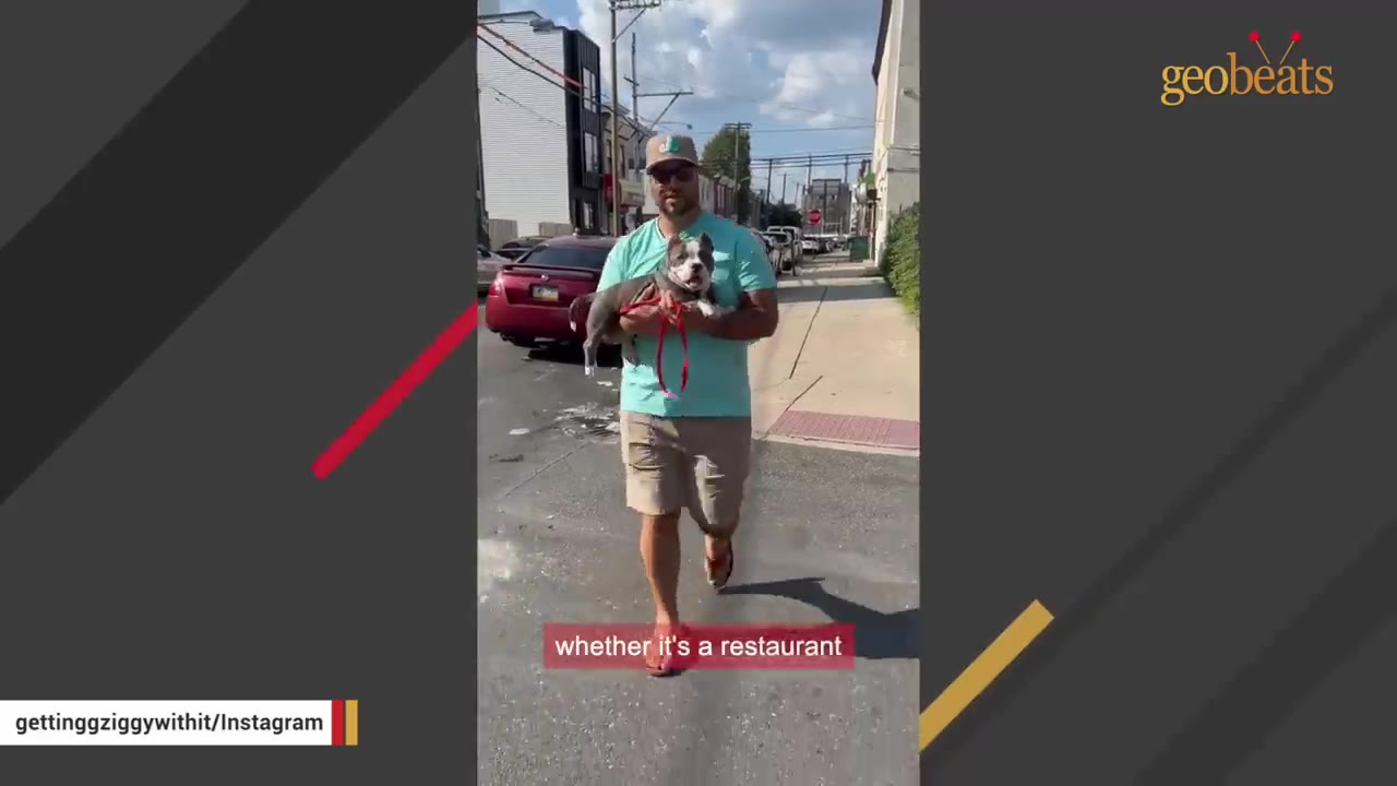 A man in a turquoise shirt and sunglasses walks down a city sidewalk carrying a grey and white dog in his arms.