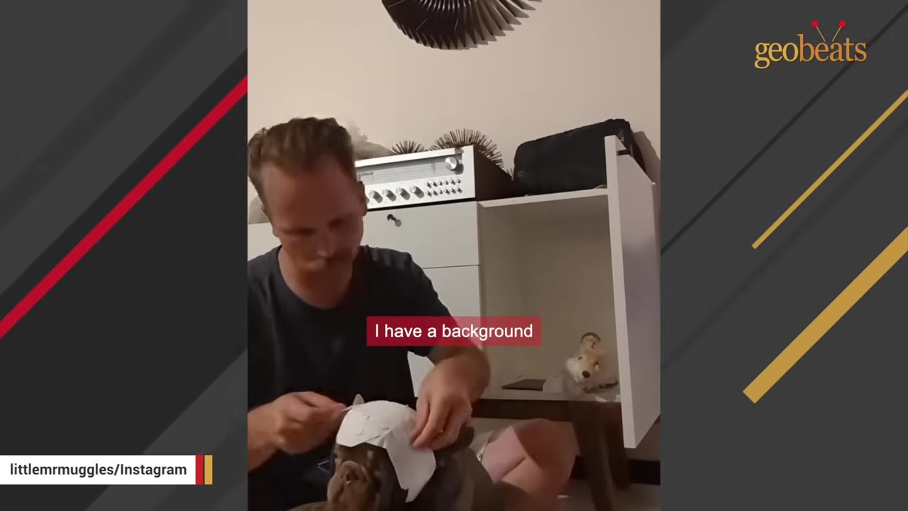 A man carefully fits a white paper template onto the head of a small brown dog to measure for a custom helmet.