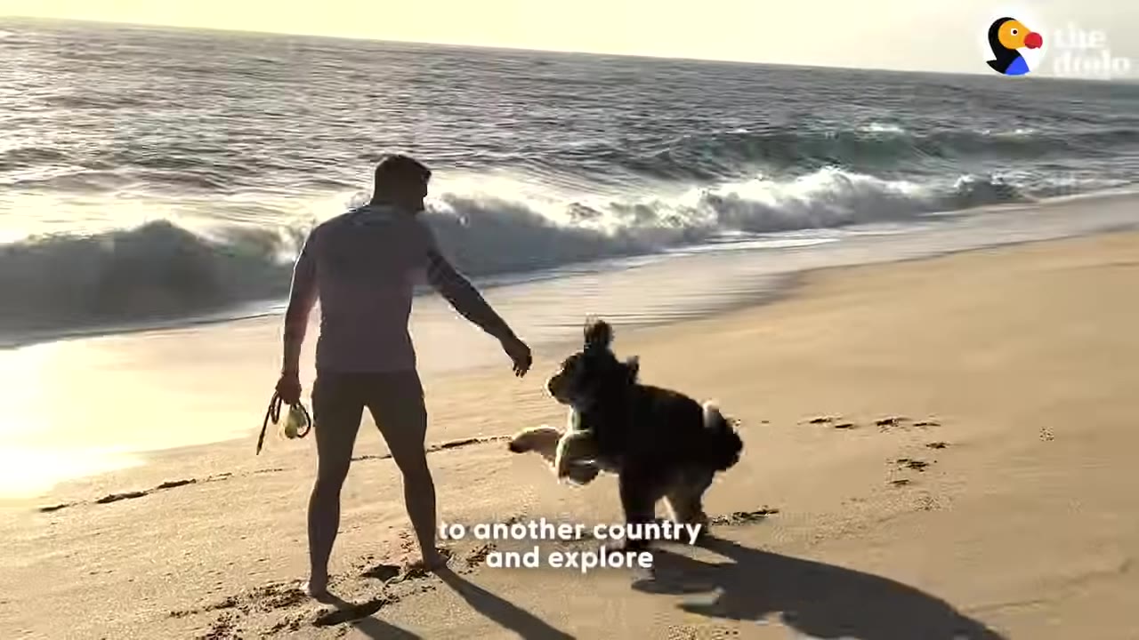 A man and a fluffy black and white dog playing on a sandy beach with ocean waves in the background.