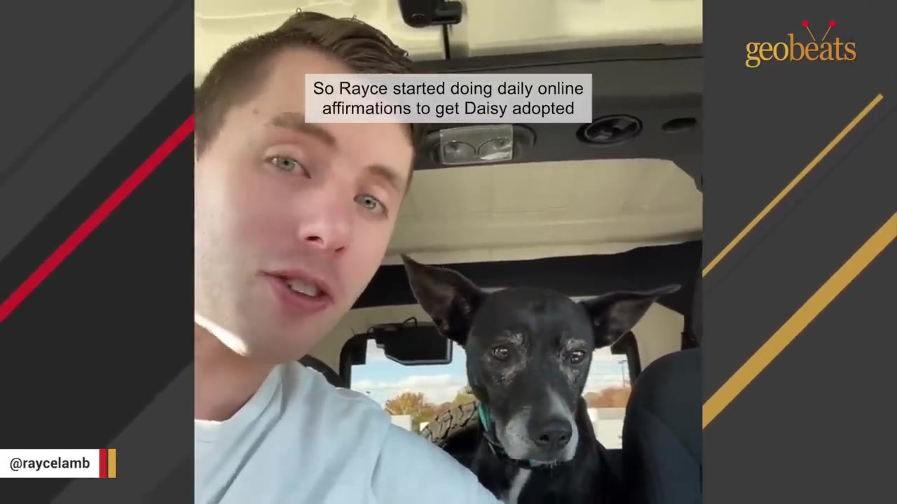 A man and a black dog with grey fur on her muzzle sit together inside a vehicle.