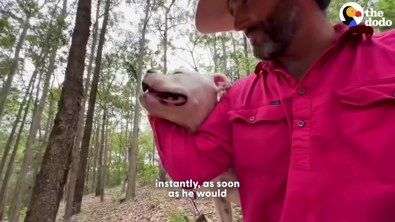 A white dog looks up happily at a man wearing a red shirt and a wide-brimmed hat in a wooded area.