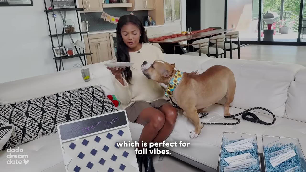 A woman sits on a white couch holding a plate with a pumpkin treat as a tan and white dog wearing a sunflower collar looks at it, with a game board in the foreground.