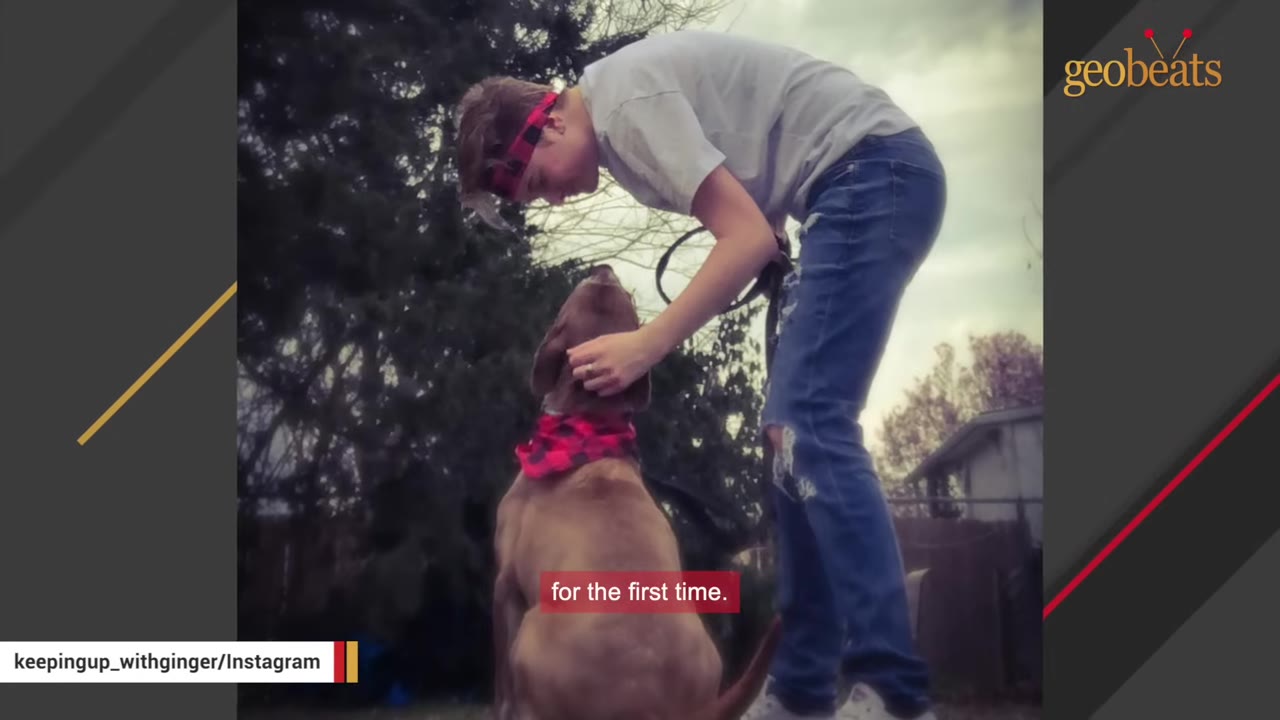 A young woman wearing a red plaid headband, a grey t-shirt, and blue jeans bends down to pet a brown dog wearing a matching red plaid bandana.
