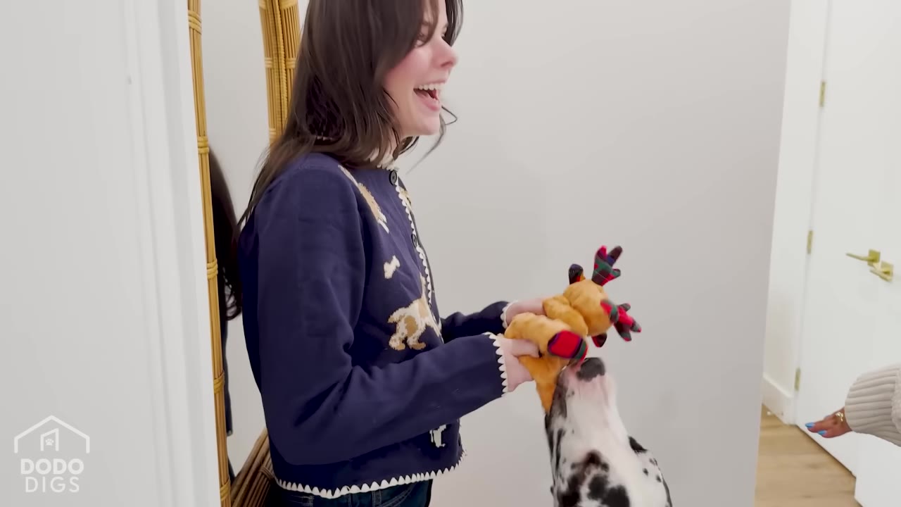 A woman with long dark hair smiles and laughs as she holds a plush reindeer toy for her black and white spotted dog.