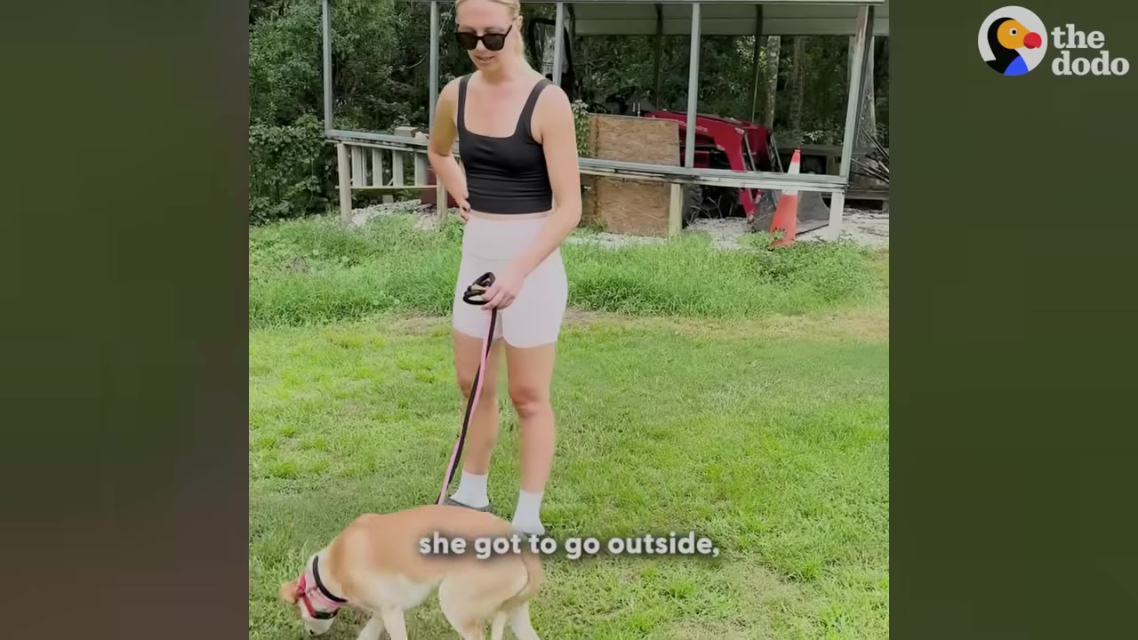 A woman in a black tank top and white shorts stands on a grassy lawn holding a tan and white dog on a leash.