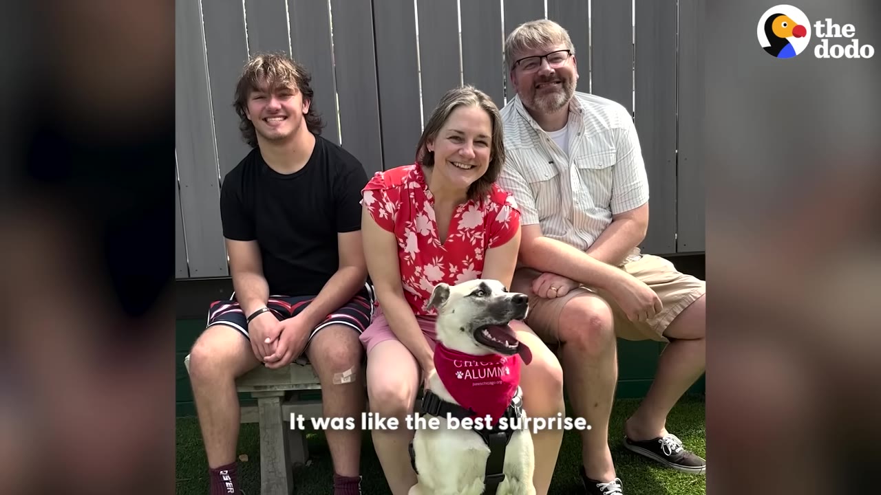 A smiling family of three sits on a bench outdoors with a white and black dog wearing a red bandana.