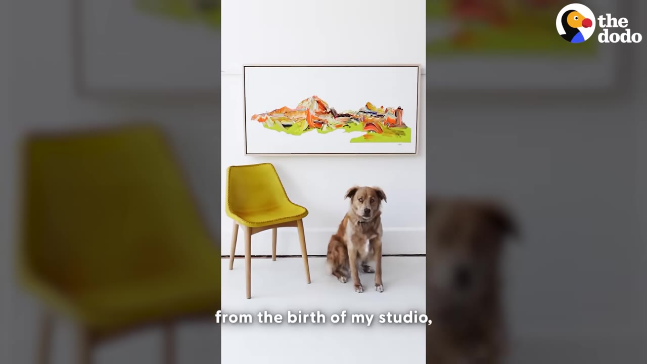 A brown dog sits on a white floor next to a yellow chair, beneath a framed colorful landscape painting on a white wall.