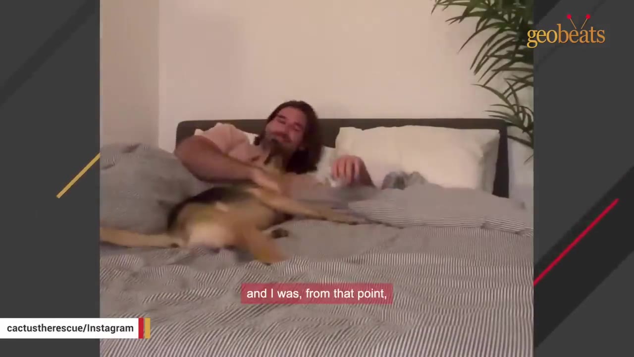 A man lying in bed smiling as a brown and black dog climbs onto his lap.