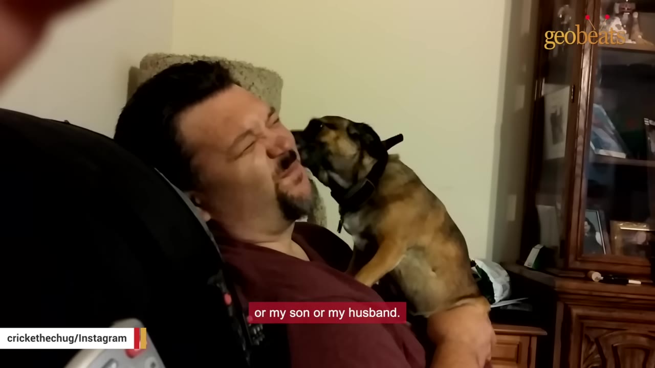 A small brown and black dog licks the face of a smiling man with a goatee as he sits back in a chair.