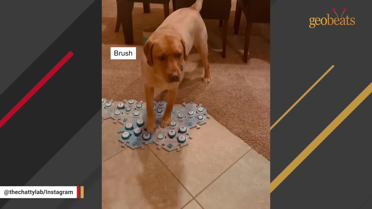 A yellow Labrador Retriever stands on a puzzle-shaped floor mat containing numerous recordable sound buttons used for communication.
