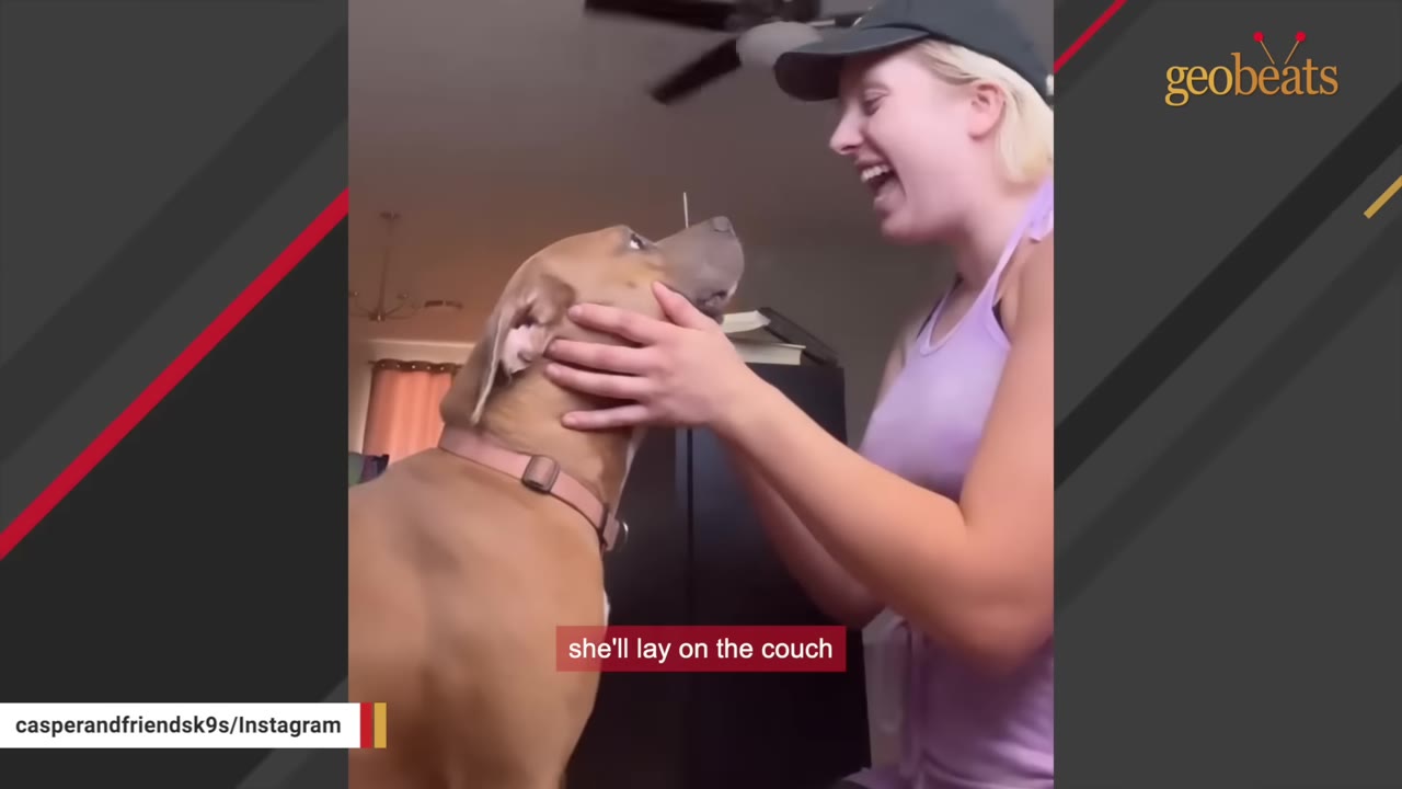 A smiling woman wearing a cap and purple top holds the face of a light brown dog who looks up at her affectionately.