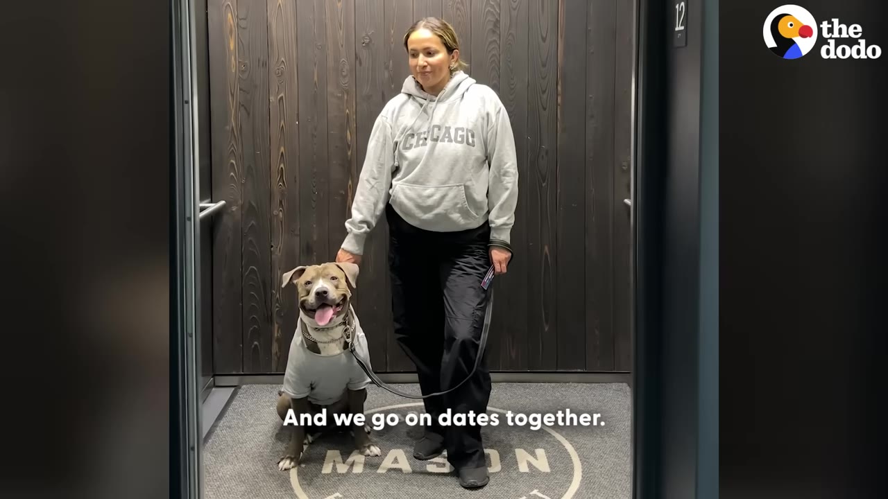 A woman wearing a grey Chicago hoodie and black pants stands in an elevator next to a pit bull wearing a matching grey hoodie, who is sitting and looking up happily.