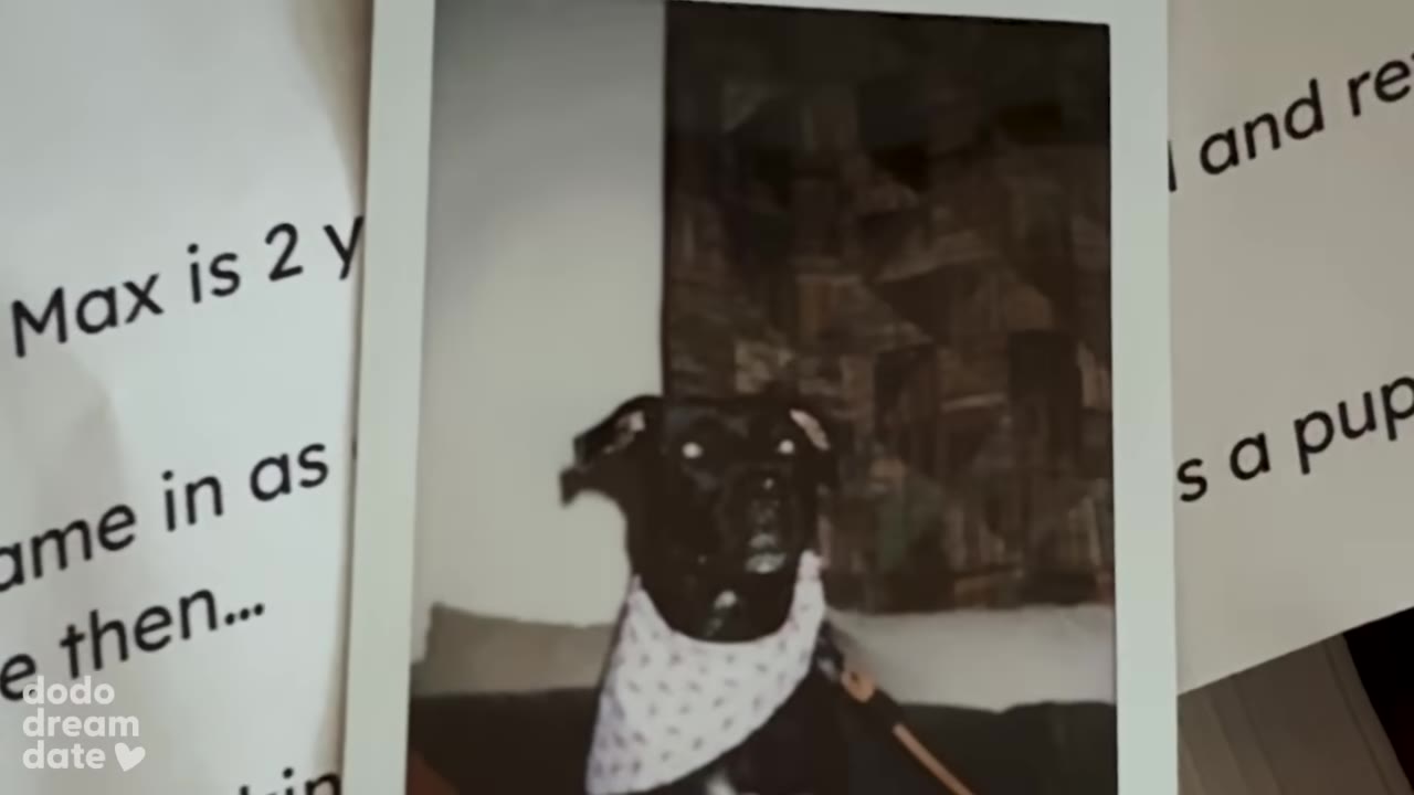 A close-up of a Polaroid photo showing a black dog wearing a white patterned bandana.