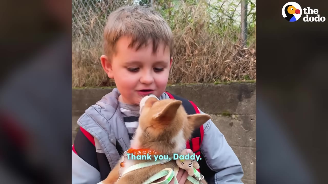 A young boy with a backpack looks down at a small brown and white puppy he is holding, with a subtitle that reads 'Thank you, Daddy.'