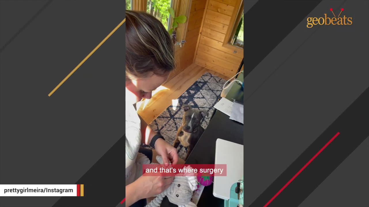 A woman sits at a desk sewing a grey stuffed animal while a grey and white dog sits on the floor nearby, looking up at her.