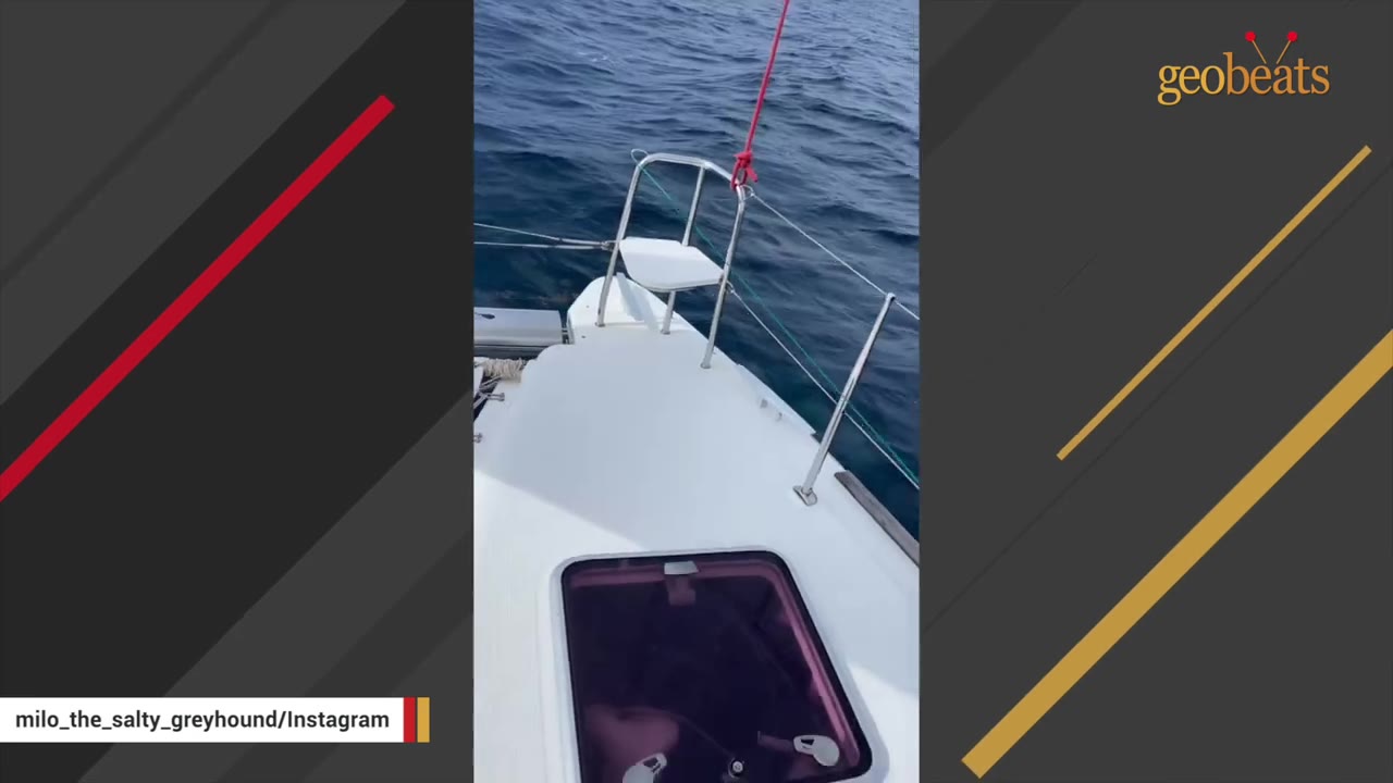 The bow of a white boat sailing on the deep blue ocean.