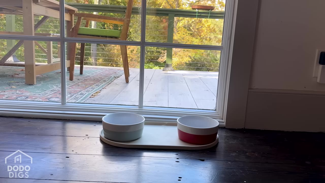 Two pet food bowls, one blue and one red, sit on a tray on a dark wood floor in front of a low window looking out onto a wooden deck.