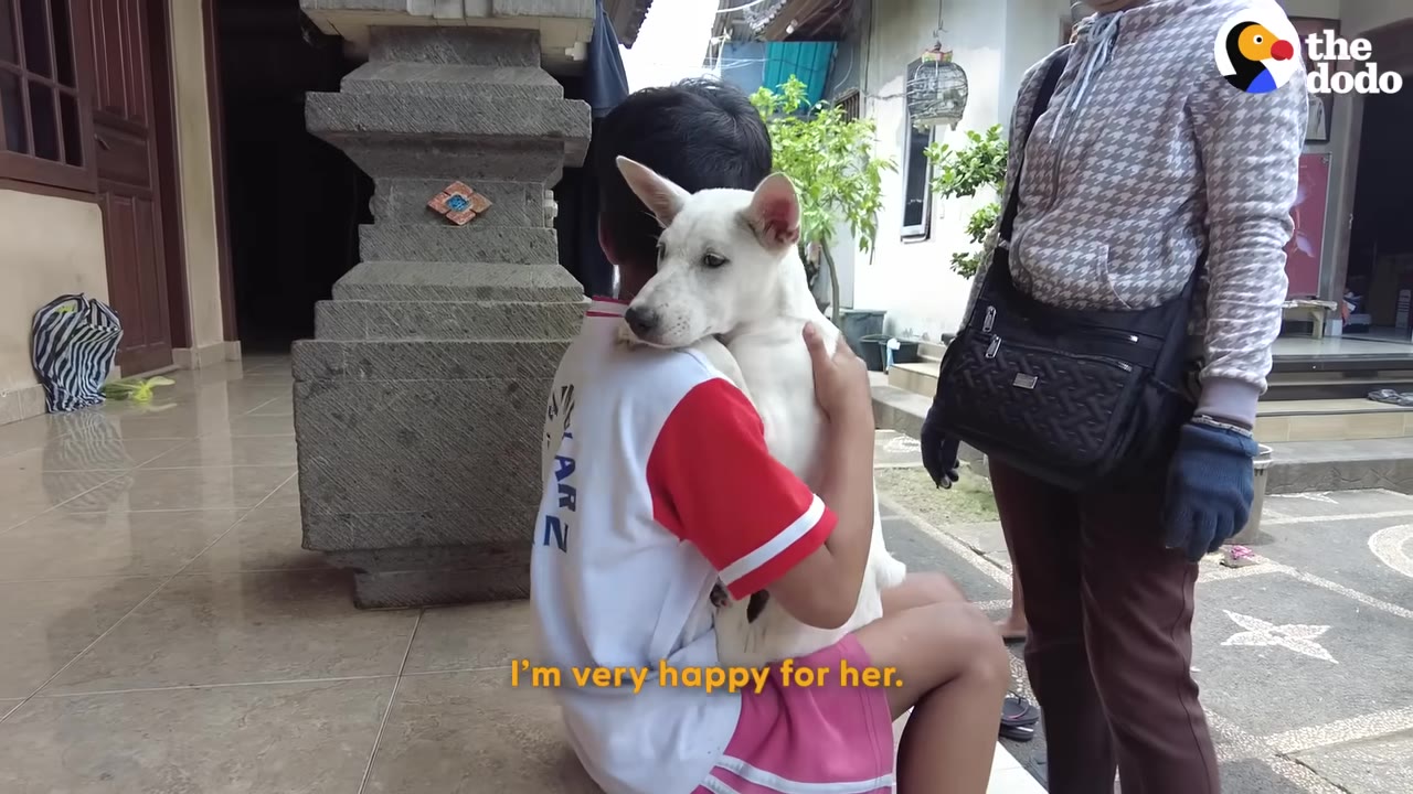 A child in a red and white shirt sits on a tiled porch hugging a white dog, while a person in a patterned hoodie stands nearby.