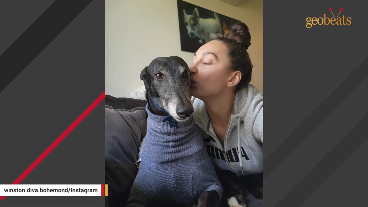 A woman with her hair in a bun kisses a greyhound wearing a blue knit sweater on the cheek.